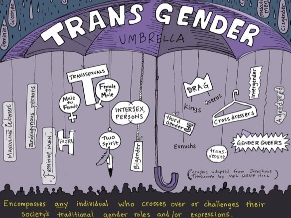 The_Idea_Fund_Transgender_Umbrella_800w_600h